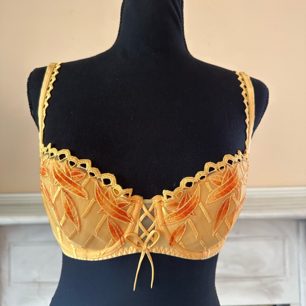 Lise Charmel Frisson d’Or Luxury Embroidered Underwire Bra • Lace-Up Front